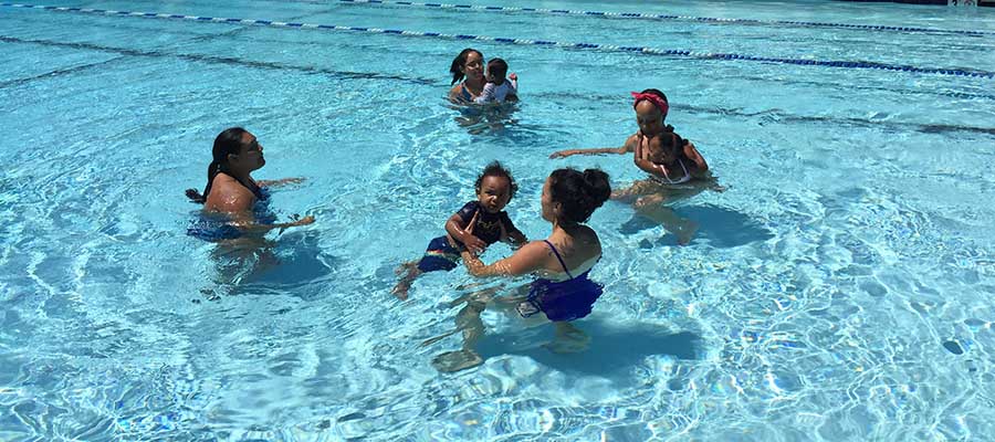 picture of the parents and babies doing swimming lessons