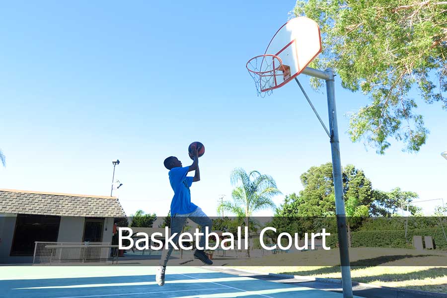 picture of a person playing a basketball