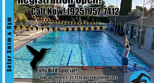 Flier for swim lesson promotion