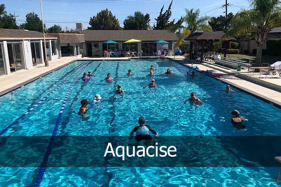 picture of the people doing water aerobics