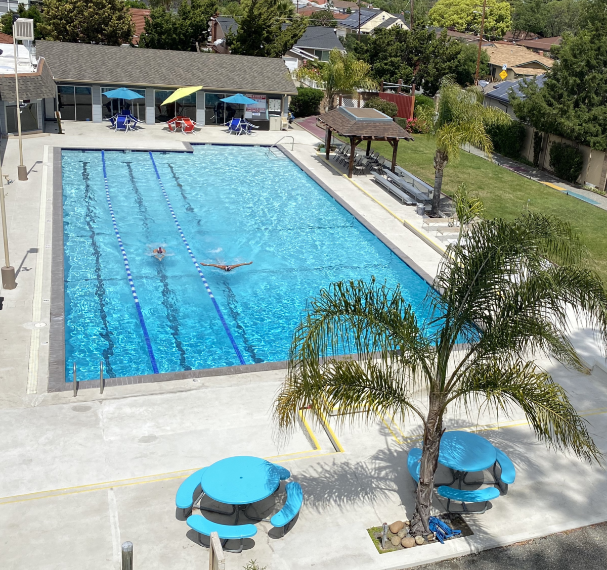 Solar Pool Club News and Events – Solar Swim & Gym